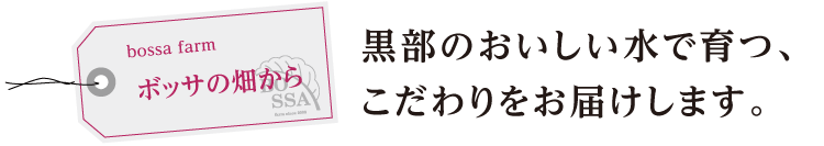 ボッサファームの畑から　黒部のおいしい水で育つ、こだわりをお届けします