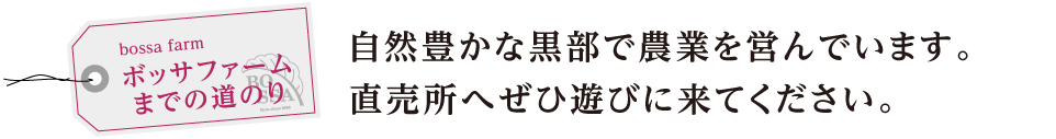 自然豊かな黒部で農業を営んでおります。直売所へぜひ遊びに来てください。