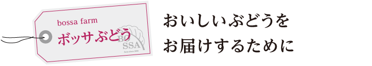 ボッサぶどう　おいしいぶどうをお届けするために